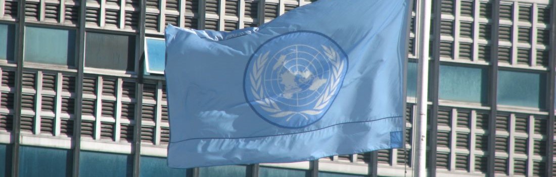 Flag of the United Nations