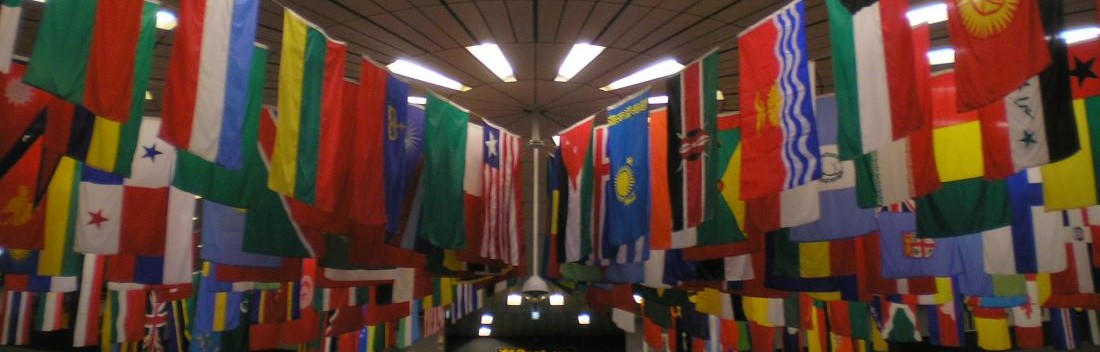 Understanding International Law